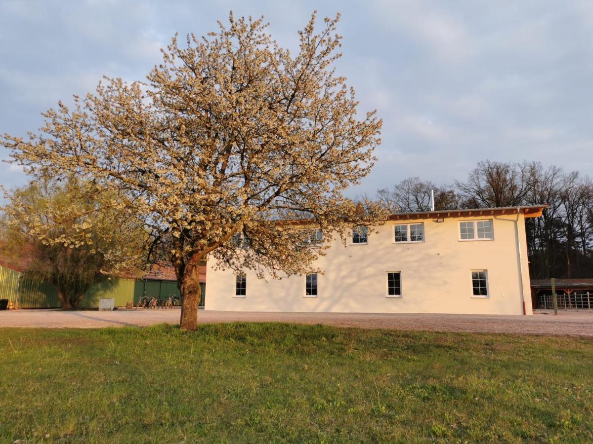 Ferienwohnung Gestuet Von Erden Haßloch Exteriör bild
